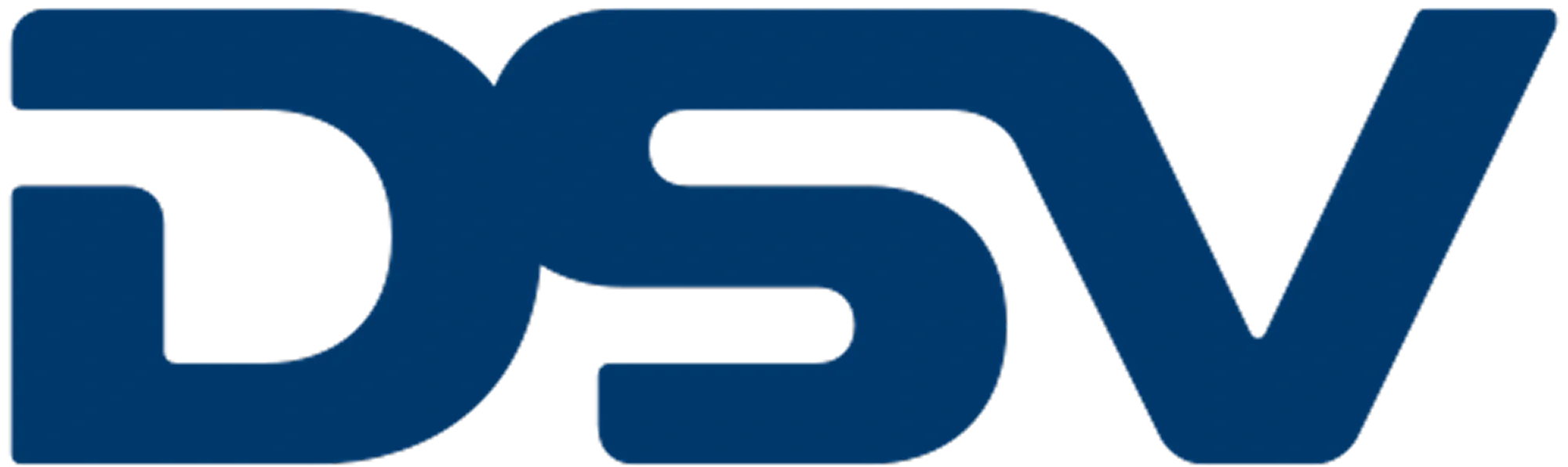 DSV-logo_500px 1.webp